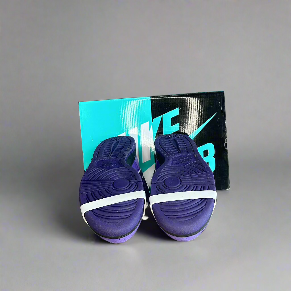 Nike SB Dunk Low Concept Purple Lobster