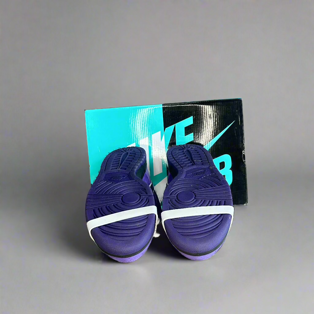 Nike SB Dunk Low Concept Purple Lobster Boutique G Store